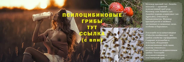 крисы Абдулино